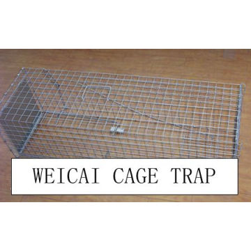 Rabbit, Hare, Cat, Skunks, Raccoon, Ferrets Cage Traps